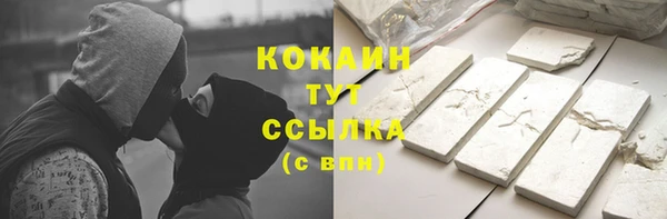МДПВ Гусев